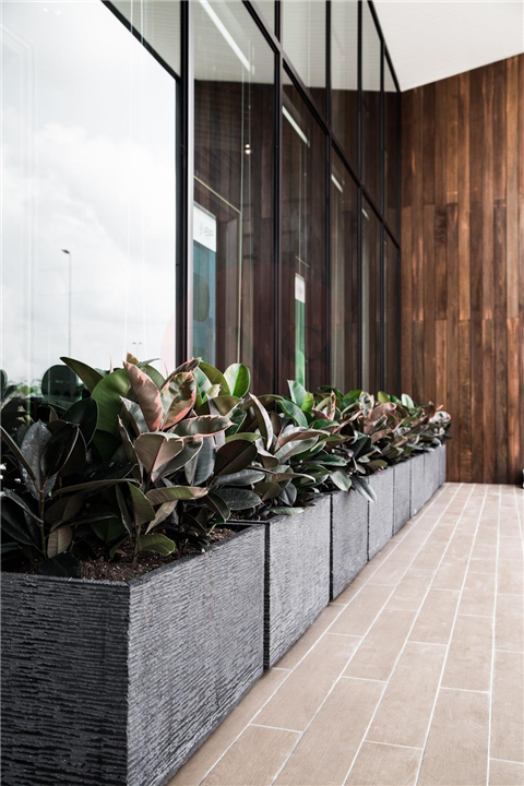 SG12 - IBP Sales Gallery